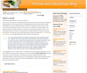 30 Super Adsense Themes WordPress